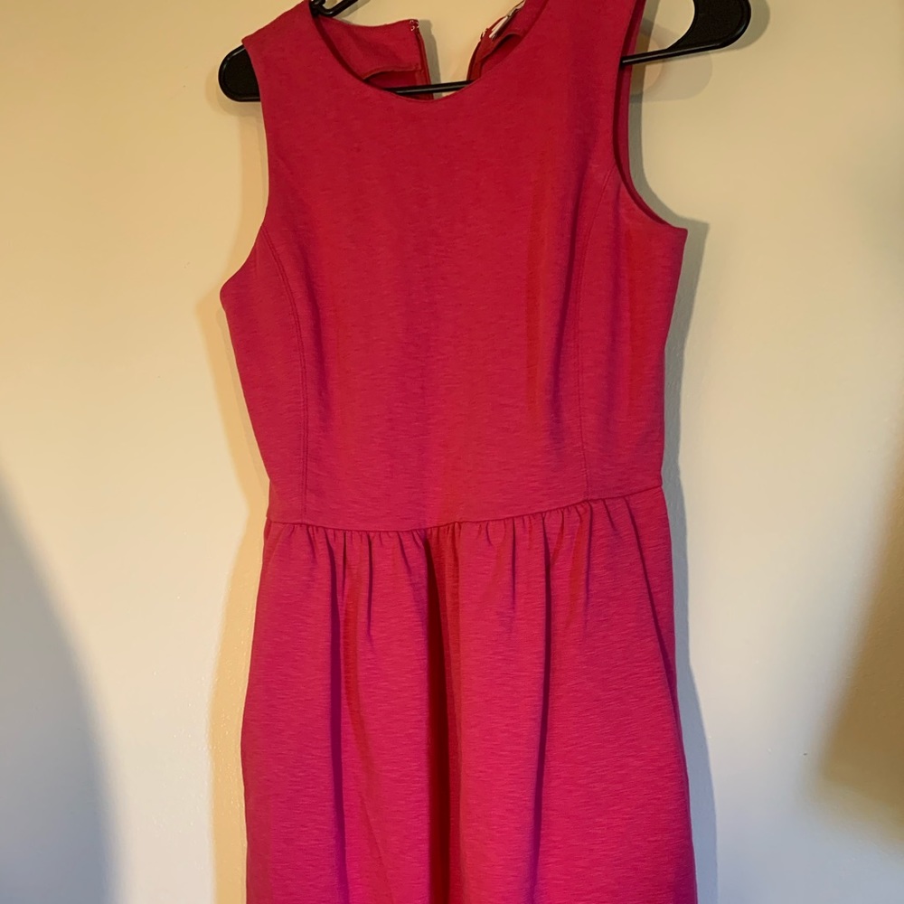 J Crew Dress